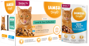 IAMS Delights gravy senior 12p